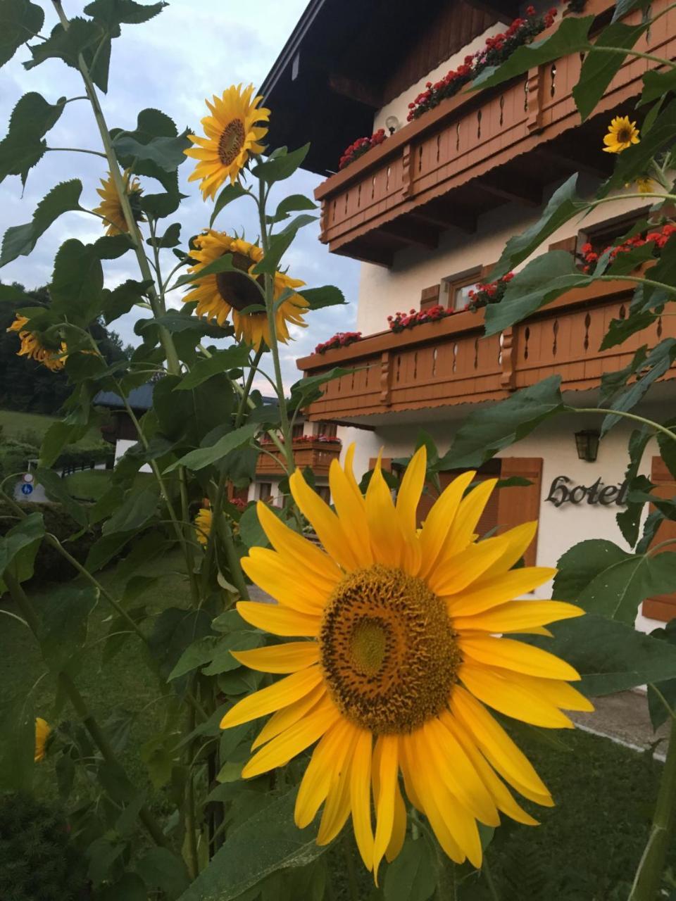 Alpenhotel Weiherbach Berchtesgaden Hallenbad Und Sauna Extérieur photo